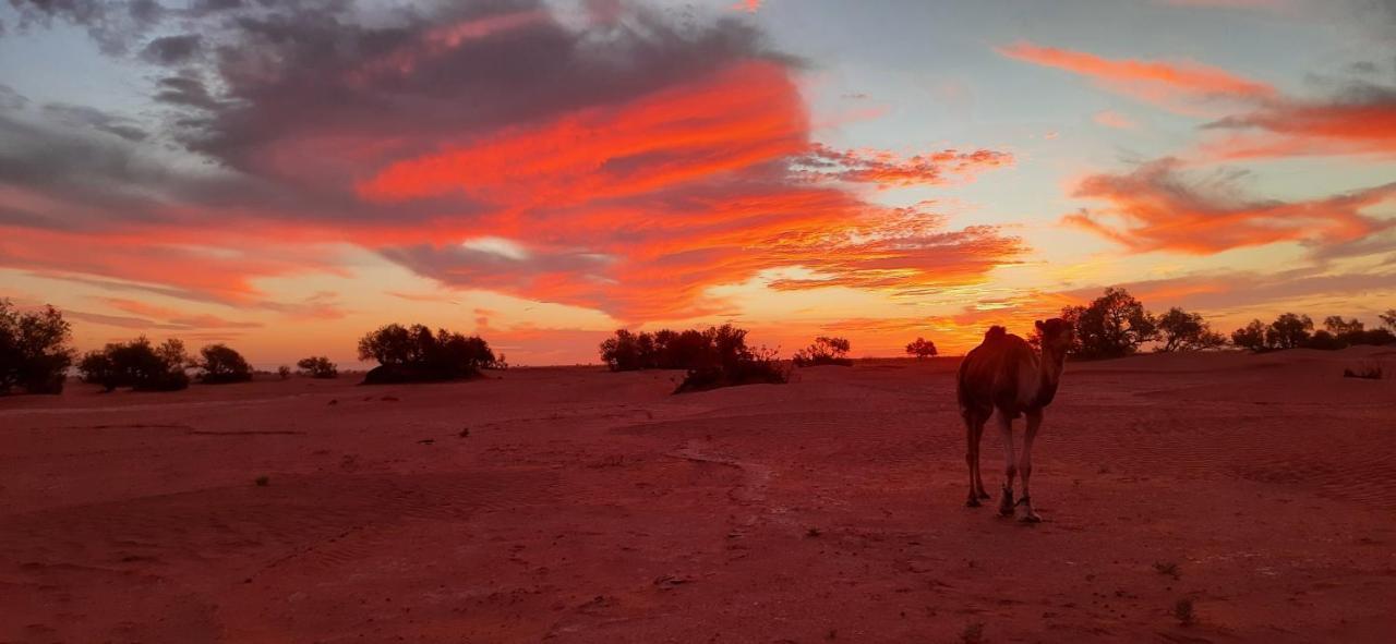 Camp desert nomad tour M'Hamid Exterior foto