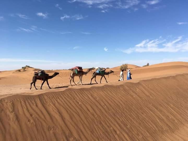 Camp desert nomad tour M'Hamid Quarto foto